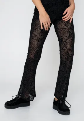 Dark Moon - Kat Burnout Velvet - Pants