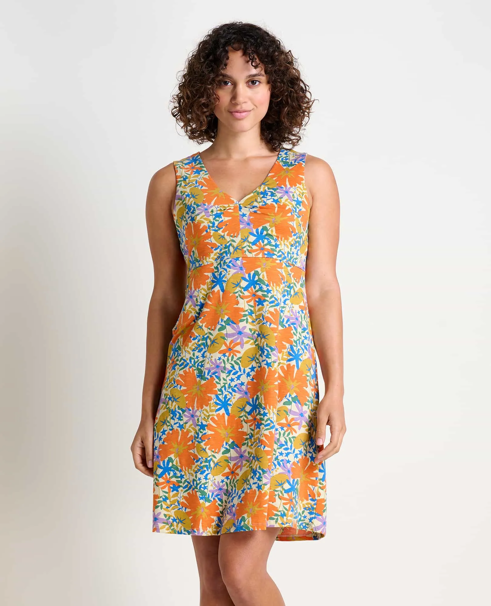 Rosemarie Sleeveless Dress