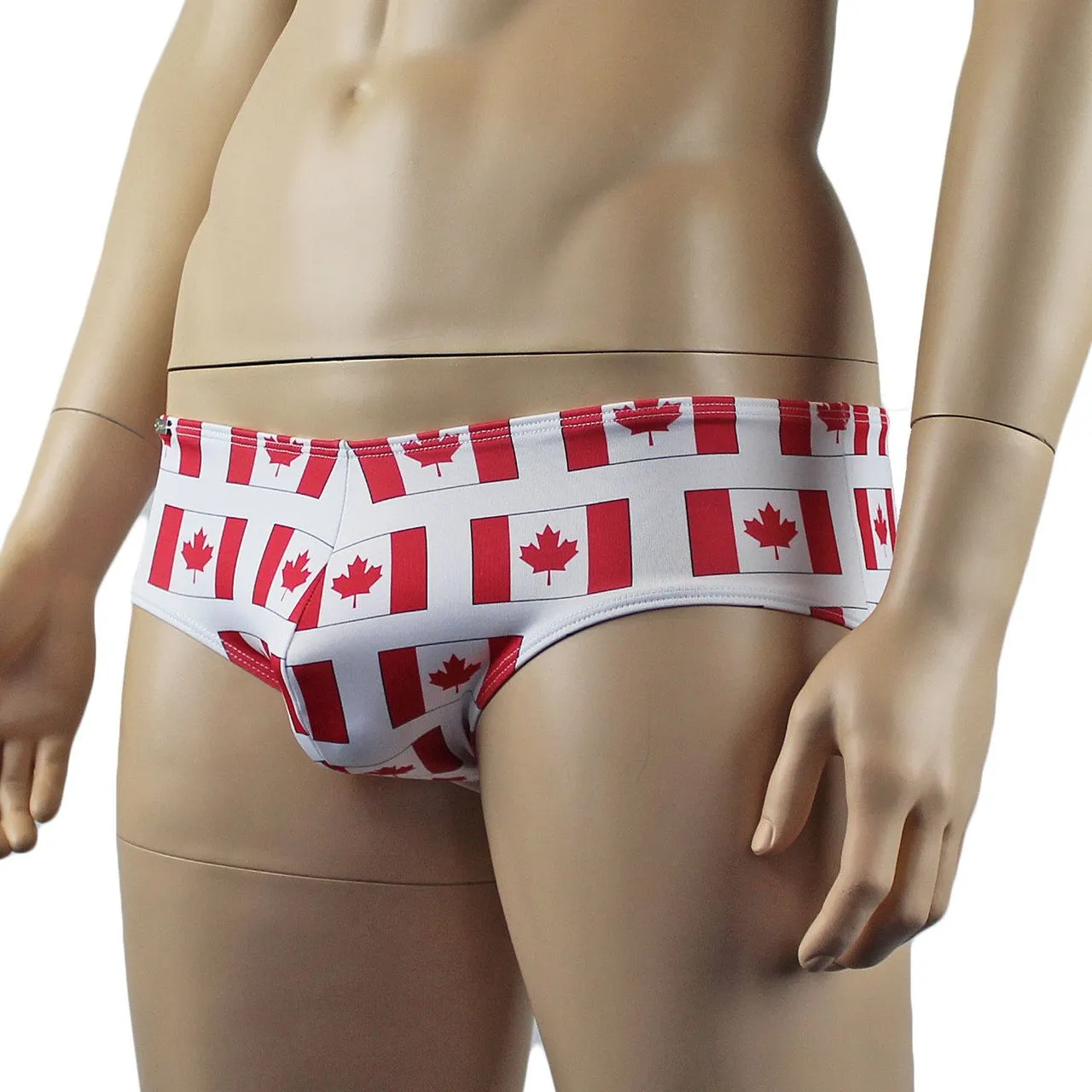 SALE - Mens Canadian Flag Mini Boxer Briefs