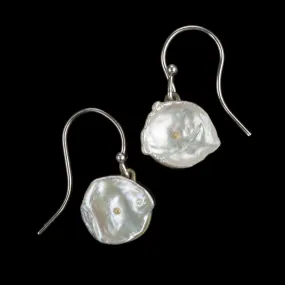 Silver Dollar Earrings - Wire Drop